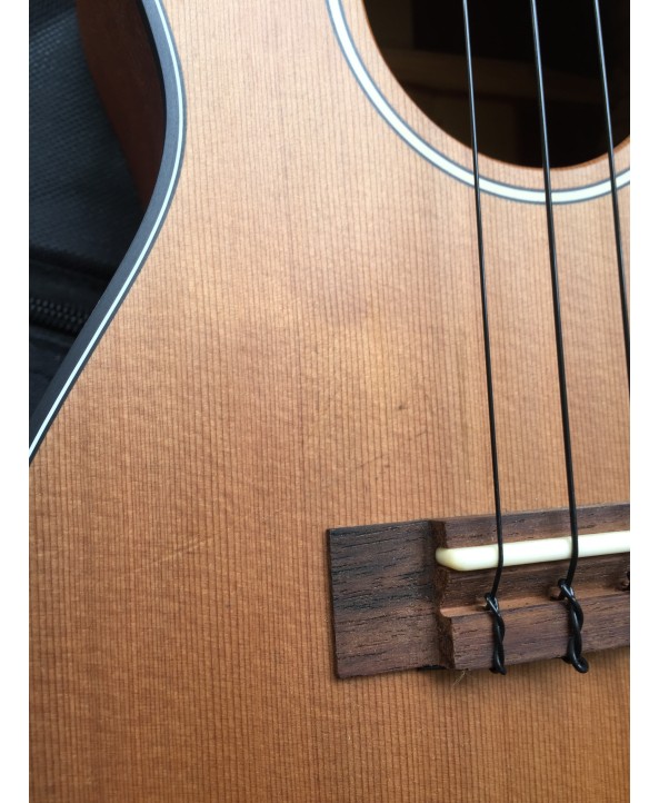 ARTIST UKULELE